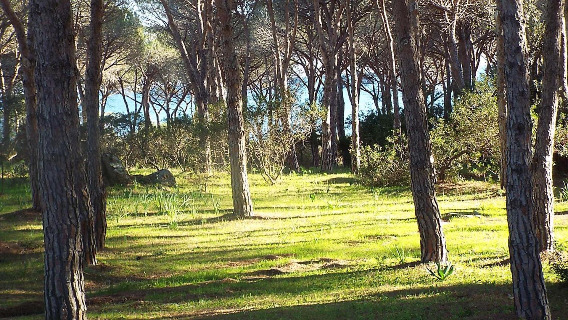 1.2 Km Dalla Budoniaffitti Casa de Férias